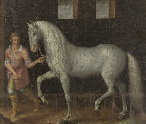 Spanish Warhorse Captured at the Battle of Nieuwpoort by Lodewijk GÃ¼nther of Nassau-Siegen from Archduke Albert of Austria, given to Stadtholder Maurice of Orange, Jacob de Gheyn, II, 1603