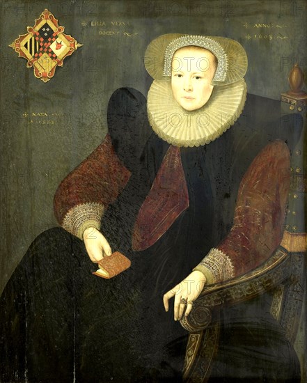 Portrait of a Woman, Anonymous, 1603