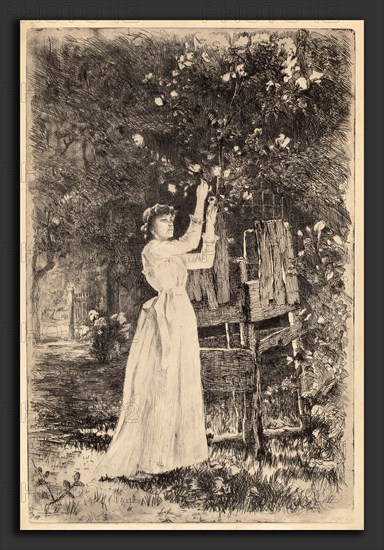 Charles Yardley Turner, Untitled (Woman Picking Blossoms), American, 1850 - 1918, c. 1890, etching and drypoint