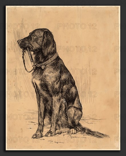 Arthur B. Davies, Aldrich's Dog, American, 1862 - 1928, late 1880s, pen and black ink touched with white on buff prepared laid paper