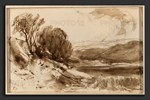 William Hart, Hilly Landscape with Trees, American, 1823 - 1894, 1855, pen and brown ink with brown wash