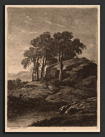 Alexandre Calame, Trees by a Rock, Swiss, 1810 - 1864, 1845, etching