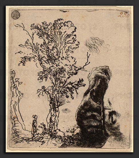 Rembrandt van Rijn (Dutch, 1606 - 1669), Sheet with Two Studies:  a Tree, and the Upper Part of a Head of the Artist Wearing a Velvet Cap, c. 1642, etching