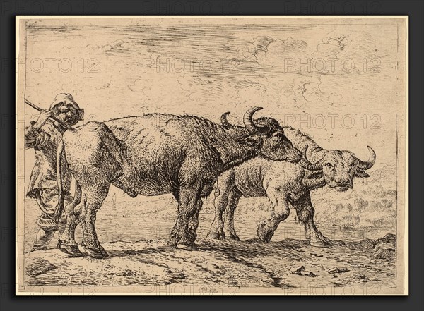 Pieter van Laer (Dutch, c. 1592 - 1642), Two Buffaloes and a Herdsman, etching and drypoint