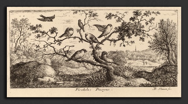 Albert Flamen (Flemish, c. 1620 - 1669 or after), Ficedula, The Bullfinch, etching