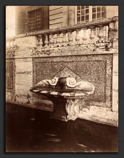 EugÃ¨ne Atget, Parc de Sceaux, French, 1857 - 1927, c. 1925, albumen print mounted on paper