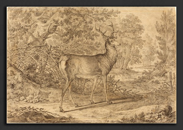 Johann Elias Ridinger (German, 1698 - 1767), A Splendid Young Stag before a Wattle Fence, 1736, graphite and gray wash on laid paper