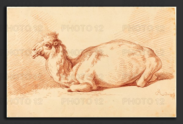 Johann Elias Ridinger (German, 1698 - 1767), A Dromedary, 1750s, red chalk on laid paper