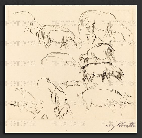 Lovis Corinth, Animal Studies (Verschiedene Tierstudien), German, 1858 - 1925, 1917, drypoint in black on laid paper