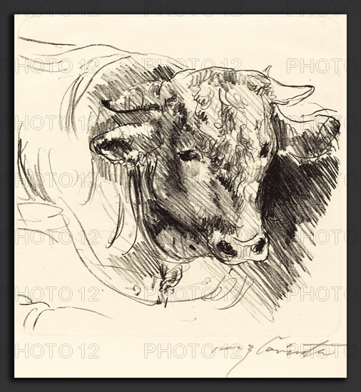 Lovis Corinth, Head of a Steer (Stierkopf), German, 1858 - 1925, 1912, lithograph in black on laid paper