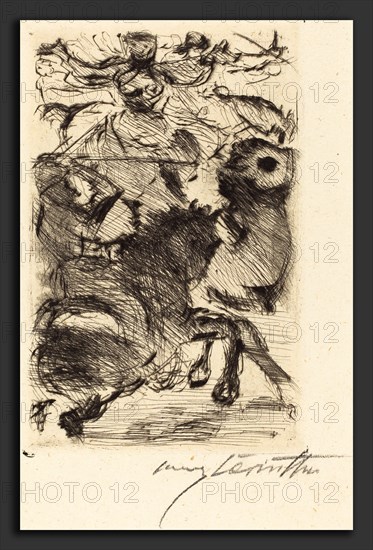 Lovis Corinth, Adhba the Camel (Adhba die Kamelin), German, 1858 - 1925, 1919, drypoint in black on wove paper