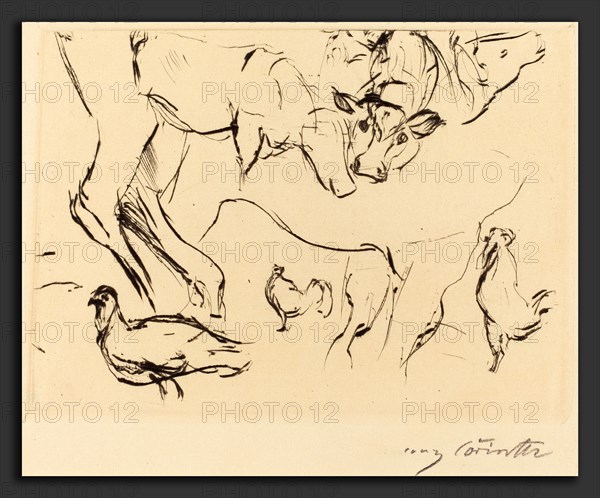 Lovis Corinth, Animal Studies (Verschiedene Tierstudien), German, 1858 - 1925, 1917, drypoint in black on laid paper