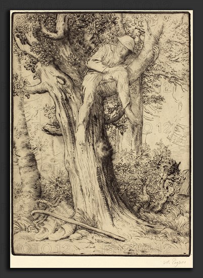 Alphonse Legros, Landscape with a Boy in a Tree (Paysage avec un garcon grimpe sur un arbre, dite "Le denicheur d'oiseaux"), French, 1837 - 1911, etching and drypoint on light green paper