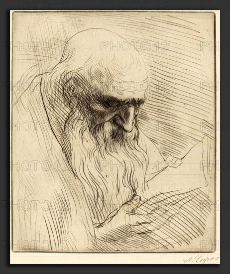 Alphonse Legros, Study of the Head of a Man Reading (Etude de tete d'homme lisant), French, 1837 - 1911, etching