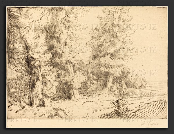 Alphonse Legros, In the Forest of Fontainebleau  (Dans la foret de Fontainebleau), French, 1837 - 1911, etching and drypoint