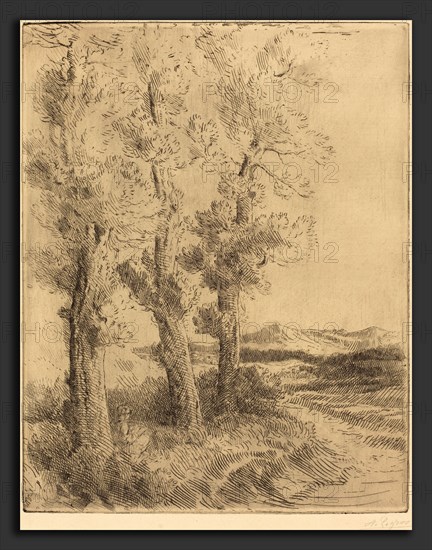 Alphonse Legros, Woman Reading: Lesson under the Trees (La liseuse: La lecture sous les arbres), French, 1837 - 1911, etching