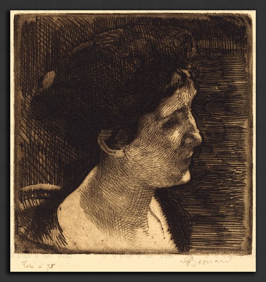 Albert Besnard (French, 1849 - 1934), Woman in Full Profile (Grand profil de femme), 1892, etching in brown-black on cream laid paper