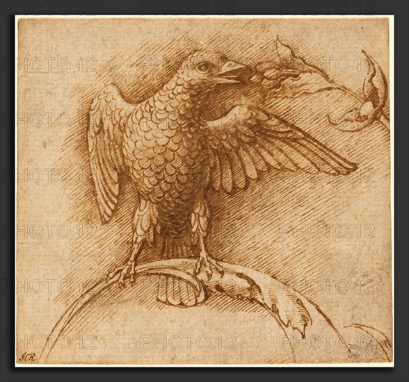 Andrea Mantegna (Italian, c. 1431 - 1506), A Bird Perched on a Branch with Fruit, 1460s, pen and brown ink on laid paper
