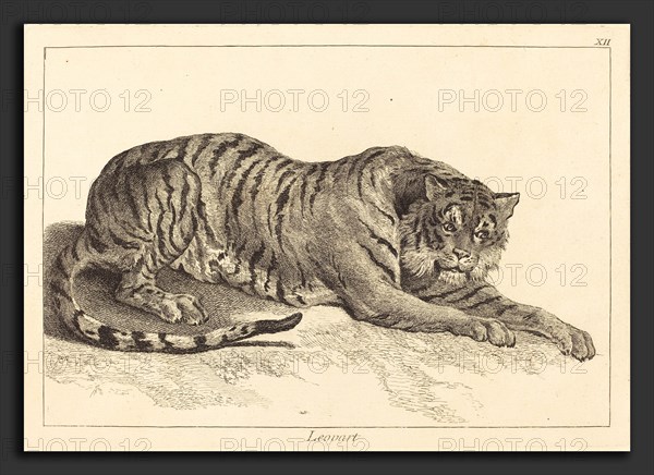 Jacques-Philippe Le Bas and Jean Eric Rehn after Jean-Baptiste Oudry (French, 1707 - 1783), Leopart (Leopard or Tiger), etching finished with burin