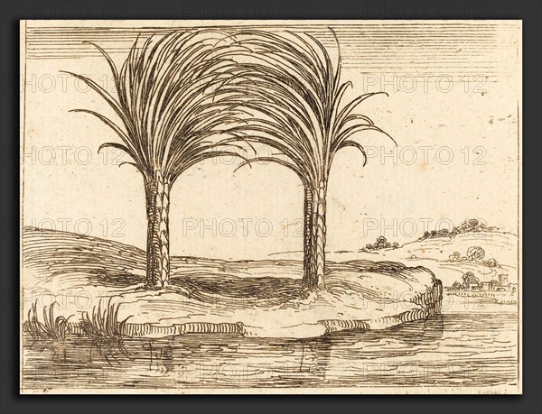 Jacques Callot (French, 1592 - 1635), Two Palm Trees, etching