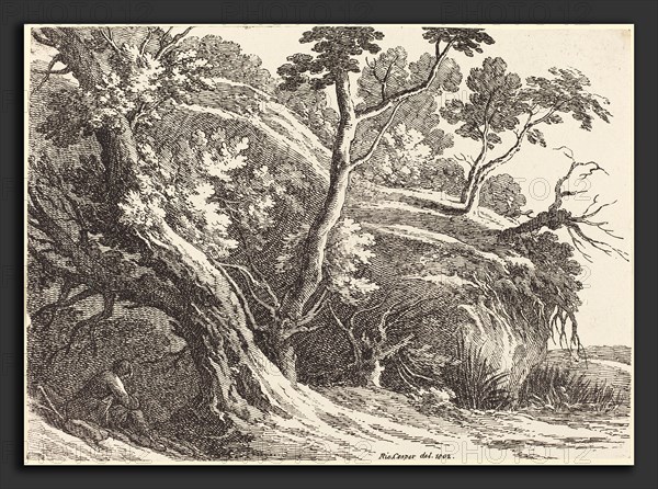 Richard Cooper II (British, 1740 - after 1814), Landscape with Large Trees, 1802, pen-and-tusche lithograph