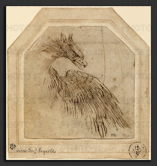 Titian (Italian, c. 1490 - 1576), An Eagle, c. 1515, pen and brown ink on laid paper; laid down on decorated mount