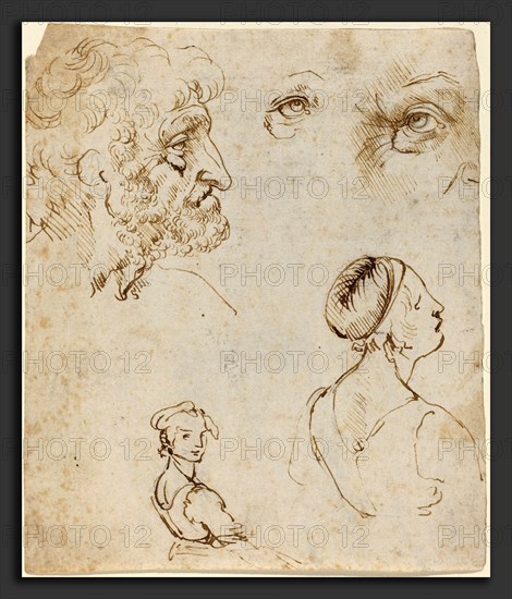 Leonardo da Vinci (Italian, 1452 - 1519), Sheet of Studies [recto], probably 1470-1480, pen and brown ink over black chalk on laid paper