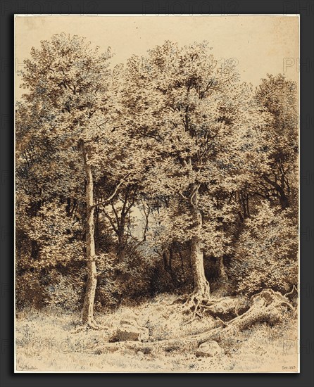 Karl Theodor Reiffenstein (German, 1820 - 1893), A Copse of Trees, 1863, brown and black pen and ink on wove paper