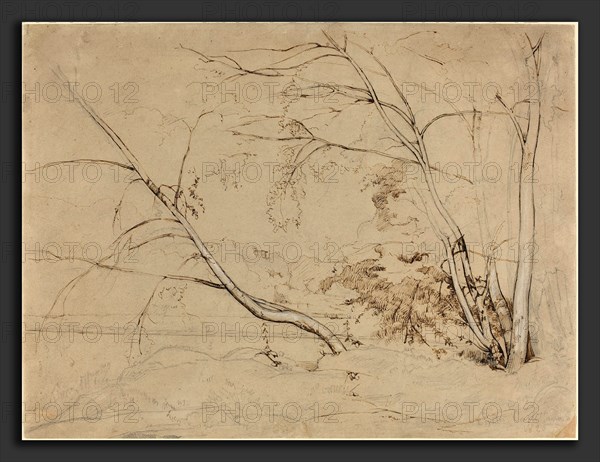 Jean-Baptiste-Camille Corot (French, 1796 - 1875), Clump of Trees at Civita Castellana, 1826, pen and brown ink and graphite with white heightening on brown wove paper