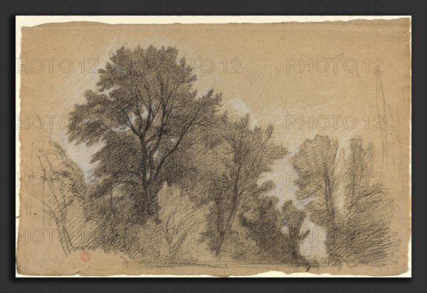 Jean Achille Benouville (French, 1815 - 1891), Edge of a Wood, c. 1840, black and white chalk on buff laid paper