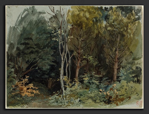 EugÃ¨ne Delacroix (French, 1798 - 1863), The Edge of a Wood at Nohant, c. 1842-1843, watercolor
