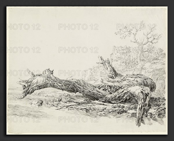 Jean-Antoine Constantin (French, 1756 - 1844), An Ancient Tree Fallen Beside a Stream, c. 1814, pen and black and gray ink over black chalk on laid paper
