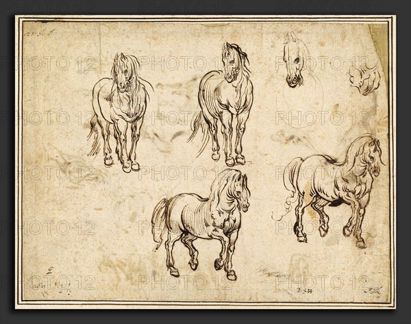 Jacques Callot after Antonio Tempesta, Studies of Horses [recto], French, 1592 - 1635, c. 1612, pen and iron gall ink on laid paper, with later framing line in brown ink