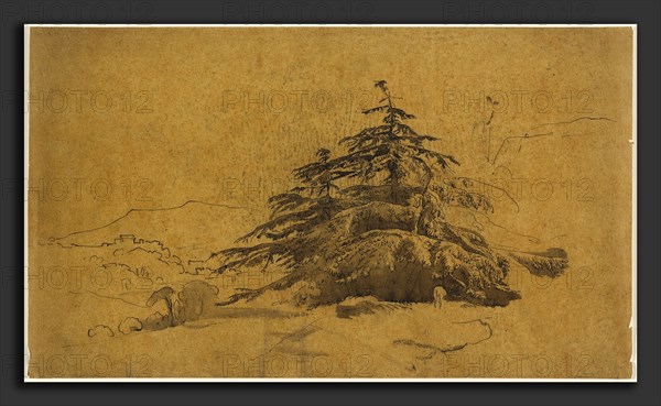 John Varley, Study of Trees in a Landscape, British, 1778 - 1842, pen and brown ink with brown wash on thin brown paper backed with japan paper