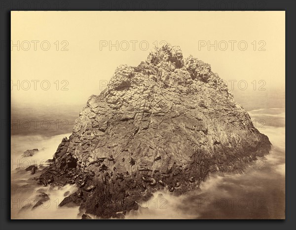 Carleton E. Watkins, Sugar Loaf Island, Farallons, American, 1829 - 1916, 1868-1869, albumen print from collodion negative
