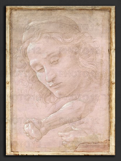 Sandro Botticelli (Italian, 1446 - 1510), Head of a Youth Wearing a Cap; a Right Forearm with the Hand Clutching a Stone; and a Left Hand Holding a Drapery, 1480-1485, metalpoint heightened with white gouache on mauve-prepared paper
