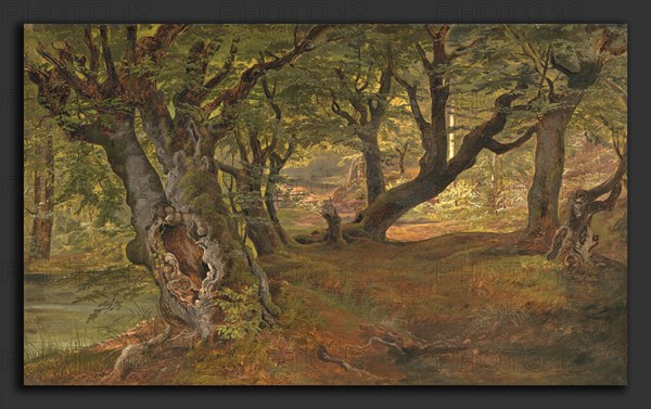Frederik SÃ¸dring (Danish, 1809 - 1862), View of Bregentved Forest, Sjaeeland, mid 1830s, oil on canvas