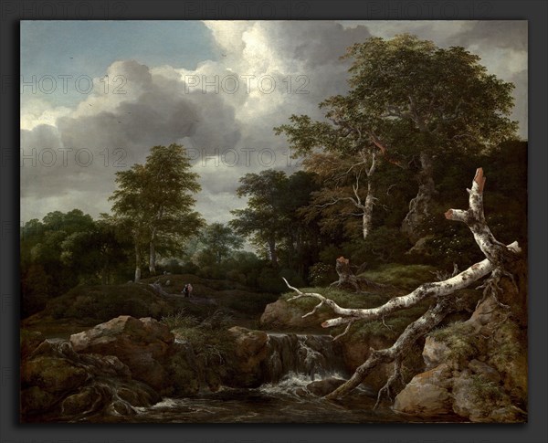 Jacob van Ruisdael (Dutch, c. 1628-1629 - 1682), Forest Scene, c. 1655, oil on canvas