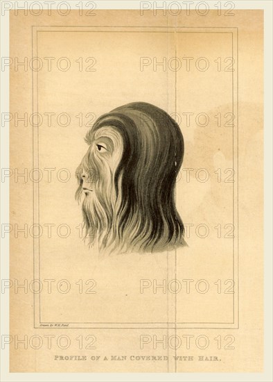 Journal of an Embassy from the Governor General of India to the Court of Ava With an appendix, containing a description of fossil remains, by Professor Buckland and Mr. Clift, Man covered with hait, 19th century engraving