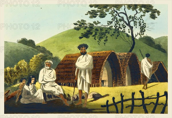 A Toda family, 19th century engraving