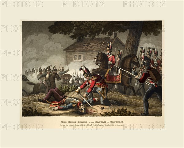 Historic, military, and naval anecdotes, Horse Guards at Waterloo, an English officer having killed a French colonel