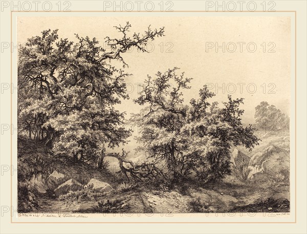 EugÃ¨ne Bléry (French, 1805-1887), Thornbushes, 1840, etching with drypoint and roulette on chine collé