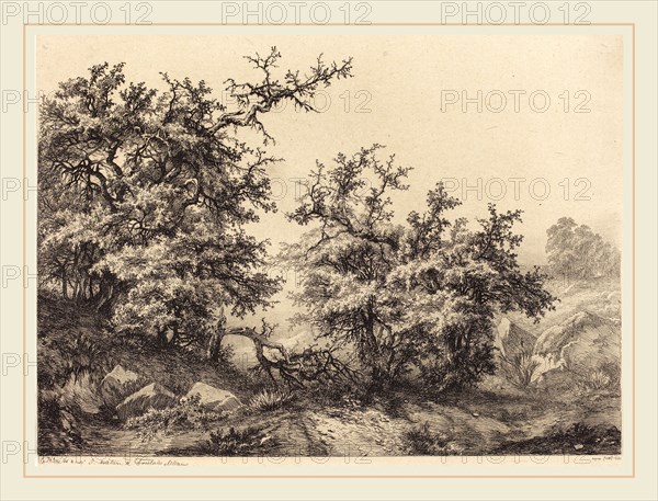Eugène Bléry (French, 1805-1887), Thornbushes, 1840, etching with drypoint and roulette on chine collé