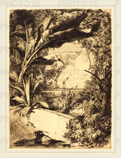 Jules-Ferdinand Jacquemart (French, 1837-1880), Plantes de Serre, 1863, etching in brown-black on laid paper