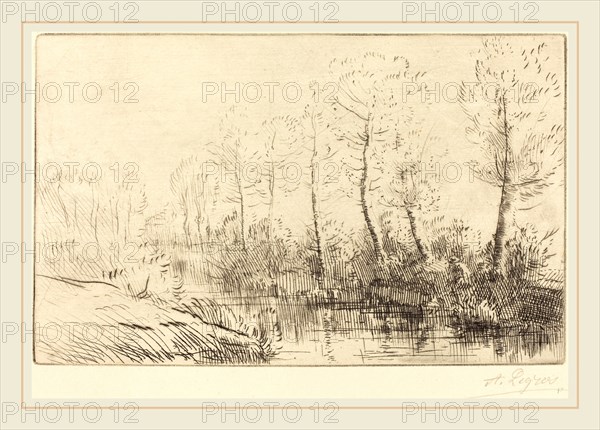 Alphonse Legros, Birch Trees: Water's Edge Seen in Morning Light (Les bouleaux: Bord de l'eau, effet du matin, French, 1837-1911, etching