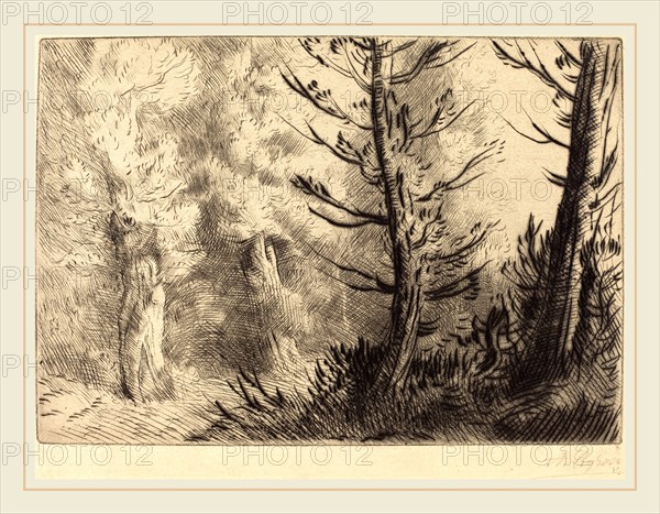 Alphonse Legros, In the Forest of Fontainebleau (Dans le foret de Fontainebleau), French, 1837-1911, etching? and drypoint