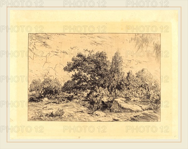 Théodore Rousseau (French, 1812-1867), Vue du Plateau de Bellecroix, 1848-1849, etching