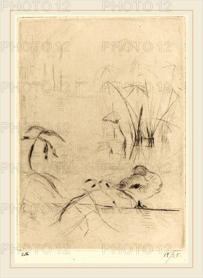 Berthe Morisot (French, 1841-1895), Ducks at Rest on the Bank, 1888-1890, drypoint [reprinted by Ambroise Vollard]