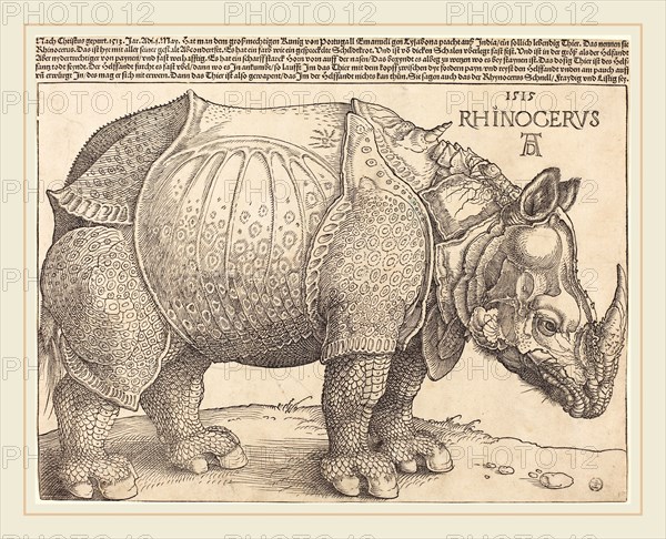 Albrecht DÃ¼rer (German, 1471-1528), The Rhinoceros, 1515, woodcut
