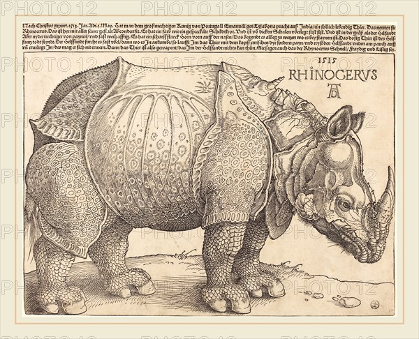 Albrecht Dürer (German, 1471-1528), The Rhinoceros, 1515, woodcut